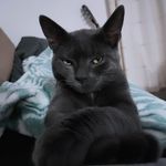 Laurence Brocheton - Instagram Profile Picture of Laurence Brocheton (@laurence.b7) on Instagram