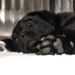 Profile Picture of Thomas Wichmann (@thomas.wichmann.1970) on Instagram