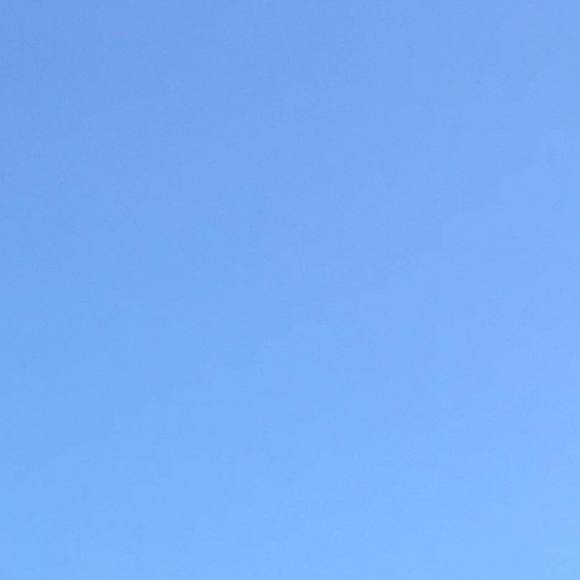 Nick Panzera - Poshmark Profile Picture of Nick Panzera (@bingus) on Poshmark