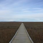 Profile Picture of Roberta Warner (@rcwarner.ak) on Instagram