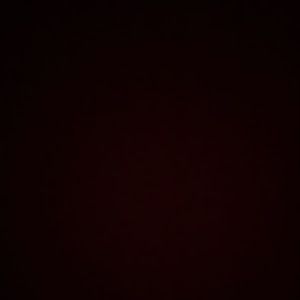 Profile Picture of lloriander (@lloriander) on Tiktok