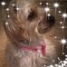 Profile Picture of Marla Schoenberger Groslouis (@marla.groslouis) on Facebook