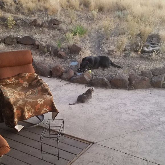 Brandi Danison - Poshmark Profile Picture of Brandi Danison (@banditt541) on Poshmark