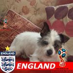 Profile Picture of Kim Milnes (@kim.milnes.1) on Instagram