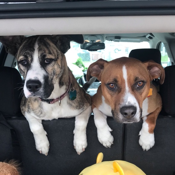 Rhonda Dittberner - Poshmark Profile Picture of Rhonda Dittberner (@rhondaditt) on Poshmark