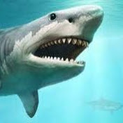 Profile Picture of Crystal Lora (@crystallora2928) on Youtube