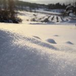 Profile Picture of Alexandra Jensen (@alexandra_.jensen) on Instagram