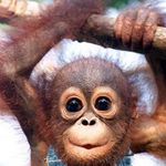 Profile Picture of Steven Blustein (@stevenblustein) on Instagram