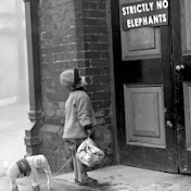 Profile Picture of Jenna Fowler (@jennafowler7213) on Youtube