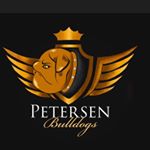 Profile Picture of Carlos Petersen (@petersen_bllz) on Instagram