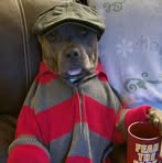 Profile Picture of Igor Savin (@Igor-Savin) on Facebook