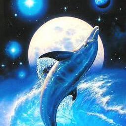 Profile Picture of こばケン (@ken_bow01_i) on Twitter