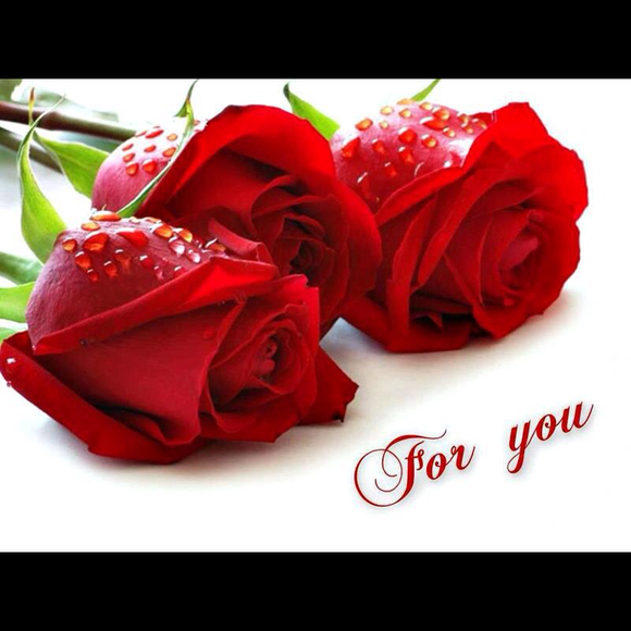 Profile Picture of Huda Aldeib (@hakkash) on Poshmark