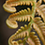 Profile Picture of Volleygirl74 (@volleygirl74) on Flickr