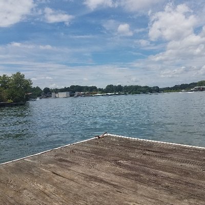 Profile Picture of Allen Stines (@duckettham) on Twitter