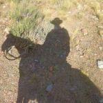 Profile Picture of Ernesto Molinelli Vallone (@molinellivallone) on Instagram