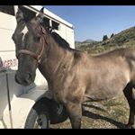 Profile Picture of Jonathan Searle (@jsearle3) on Instagram