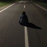 Profile Picture of Sandra Andrea Sipek (@s_andy_s_) on Instagram