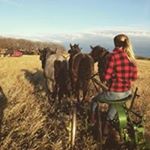 Profile Picture of Morgan Jacobson (@jacobson5673) on Instagram