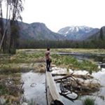 Profile Picture of Jesse Barbour (@thebarbour22) on Instagram