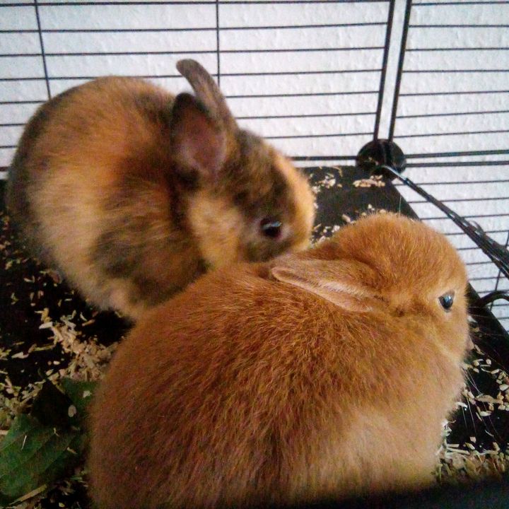 Profile Picture of gaming_pro (@kristianokordic) on Tiktok