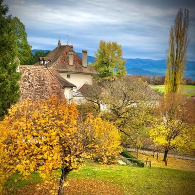 Profile Picture of Rae James Ceballos (@CeballosRae) on Twitter