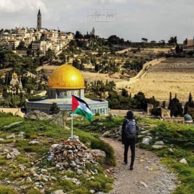 Profile Picture of Mohammed Ayesh (@Mohamme31375478) on Twitter