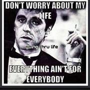 Profile Picture of Conrad Goodbird (@conrad.goodbird) on Myspace