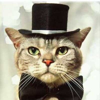 Profile Picture of Randall Jeffers (@ranjef) on Twitter