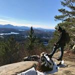 Brendon O'Gorman - Instagram Profile Picture of Brendon O'Gorman (@brentog) on Instagram