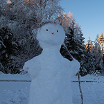 Profile Picture of Toni Liski (@toniliski) on Flickr