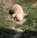 Profile Picture of Mark Fricke (@mark.fricke.56) on Facebook