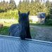 Profile Picture of Robert Scherr (@robert.scherr.96) on Facebook