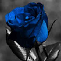 Profile Picture of Loretta Chung (@loretta-chung-2) on Quora