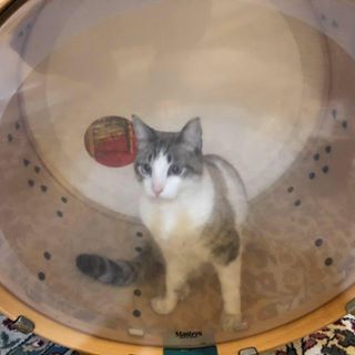 Profile Picture of David Tabone (@David-Tabone) on Facebook