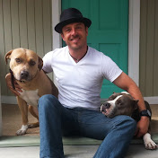 Profile Picture of TheGoodDogTraining (@TheGoodDogTraining) on Youtube