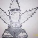 Profile Picture of Jack Burklund (@burkheart) on Instagram