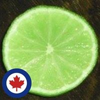 Profile Picture of Pamela Beales-turney (@pamela-beales-turney) on Quora