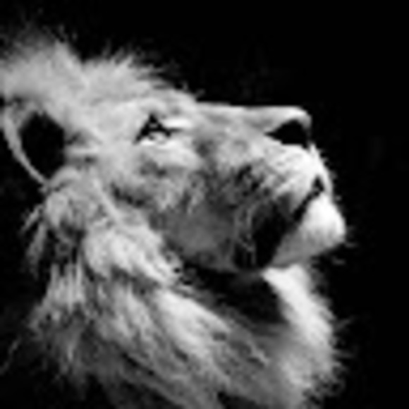 Profile Picture of Nishant Shrestha (@nishant_stha) on Poshmark