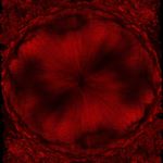 Profile Picture of David Tadamasa Maruyama (@maruyamaiiiarchives) on Instagram