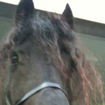 Profile Picture of Ben Whitworth (@anembalmer) on Twitter