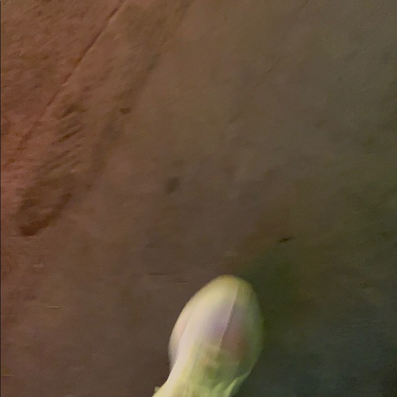 Profile Picture of David Granger (@davidthedawg22) on Poshmark