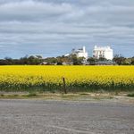 Profile Picture of Leanne Schroeder (@schroeder_leanne) on Instagram