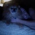 Profile Picture of Katelyn Berndt (@freehuggs) on Pinterest