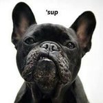 Profile Picture of Michael Sturgill (@michael.sturgill.7792) on Instagram