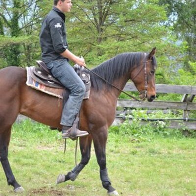 Profile Picture of Stefan Gruber (@Gruber87Steve) on Twitter