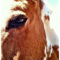 Profile Picture of Alicia Cornstubble (@alicia-cornstubble) on Quora