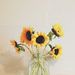 Profile Picture of Trent McGregor (@trentmcgregor16) on Pinterest