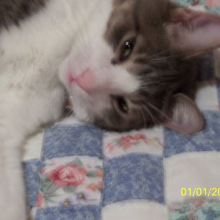 Profile Picture of Janet Lucas (Plahm) (@janet.lucas.3939) on Facebook