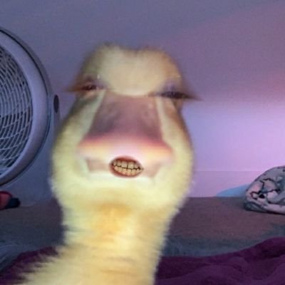 Profile Picture of Mike (@ITSOAWL) on Twitter